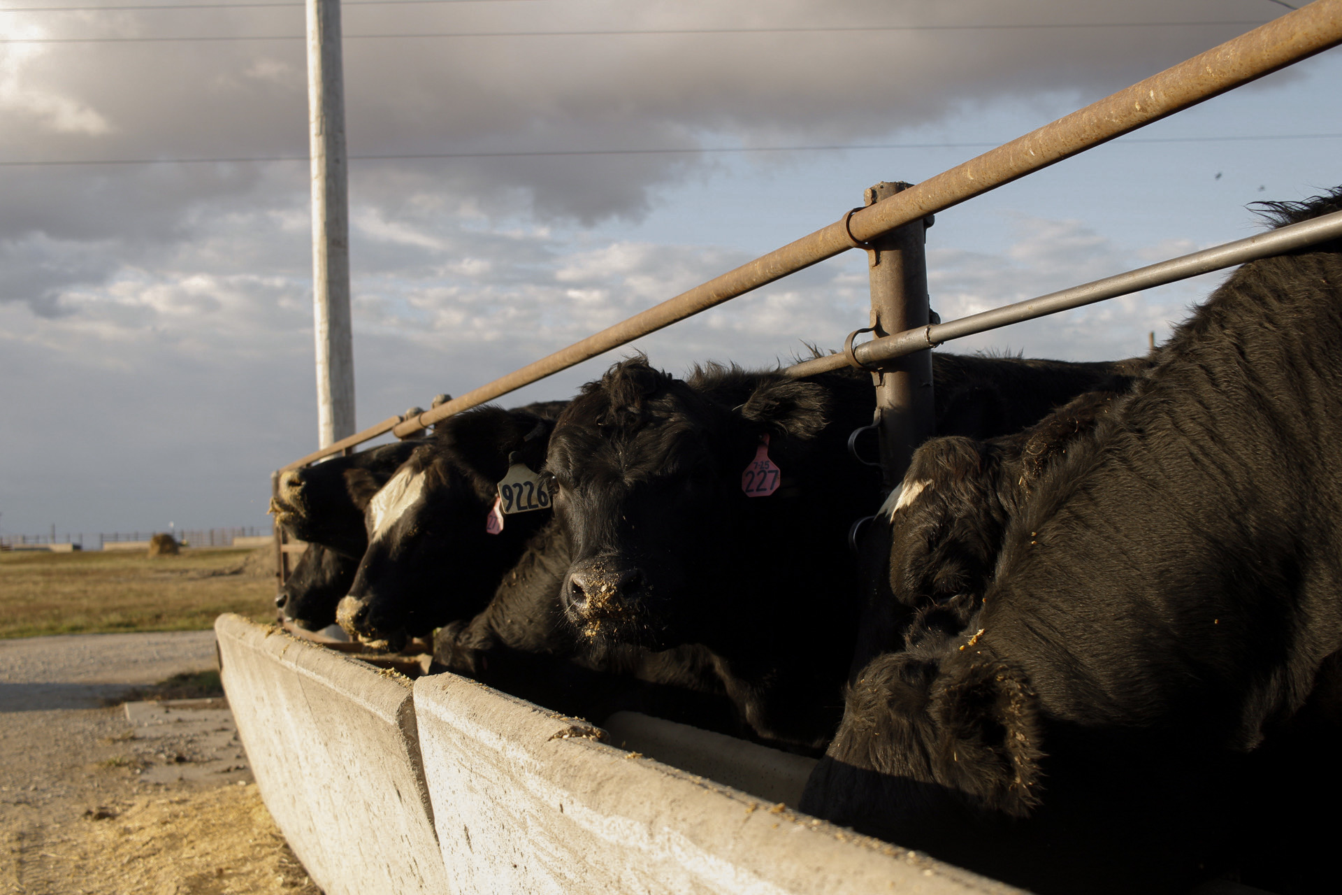 KRVN 880 – KRVN 93.1 – KAMI - Beef - It’s For Trading