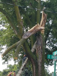 EARLY MORNING STORMS DAMAGE AREA