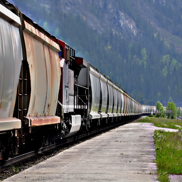 Driver injured when locomotive strikes her high-centered car