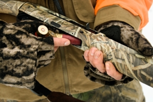 Former employee of Nebraska hunting and outfitting business sentenced for Lacey Act violations