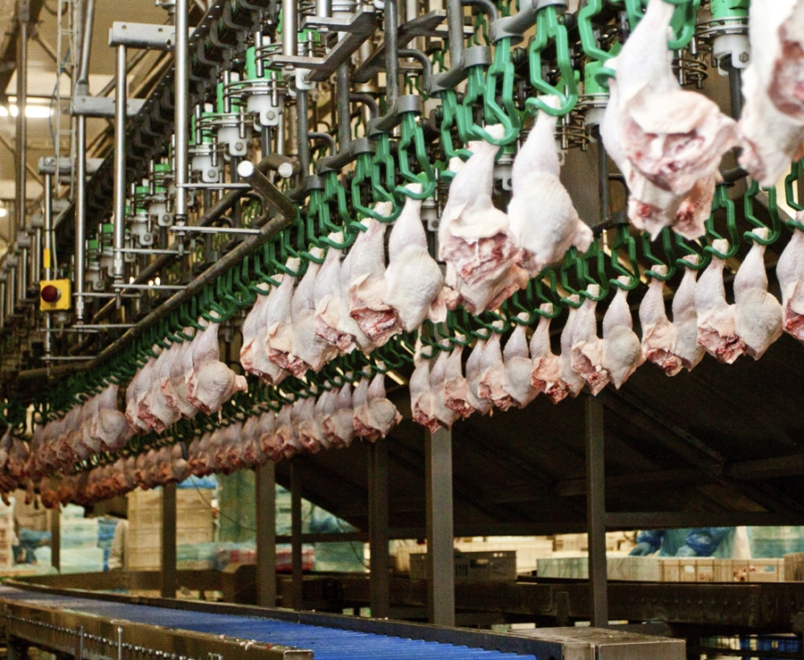 Meat and poultry worker COVID infection rates lower than general population - Vimarsana News