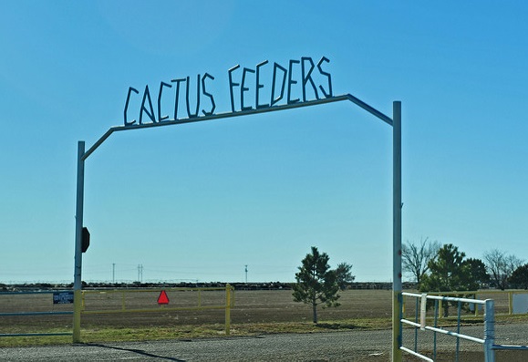 Cactus Feeders Sued By Dol Over Esop Ktic Radio