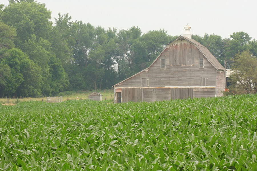 CoBank: 2021 Year Ahead Report on U.S. Rural Economy - Vimarsana News