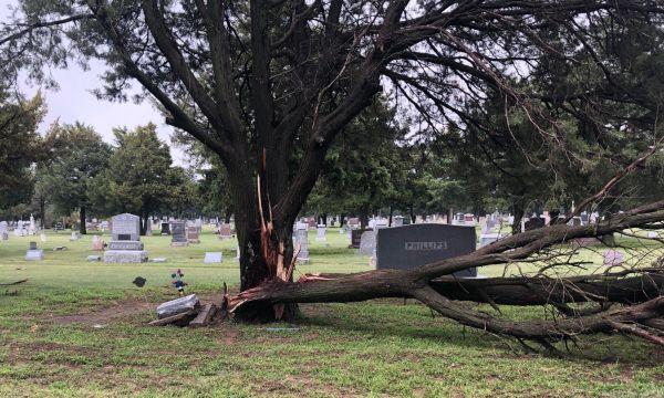 Thunderstorm wind damage in Cambridge