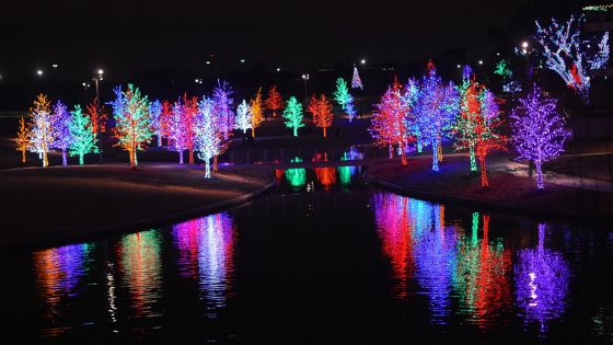 Holiday Light Festival