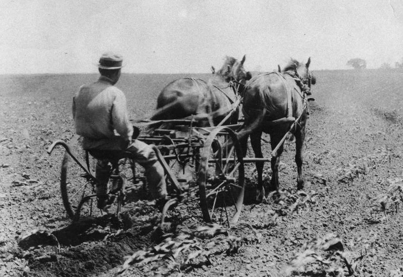 Brandon and Clay Discuss Wheat Output and Prices in Harry S. Truman’s Day