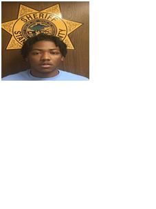 Two arrested following Vehicle Pursuit East of Norfolk