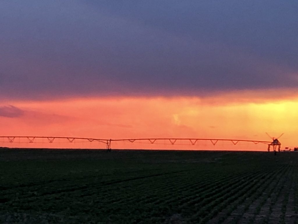 Looking at Upcoming USDA Report during Trading Bits & Bytes
