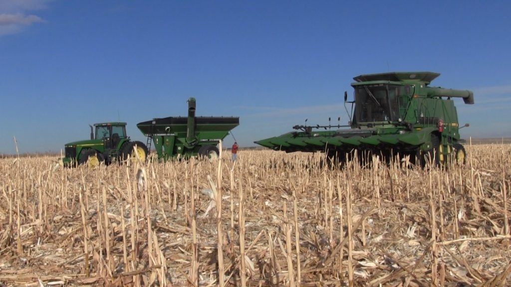 Panhandle Corn Harvest Being Completed Early