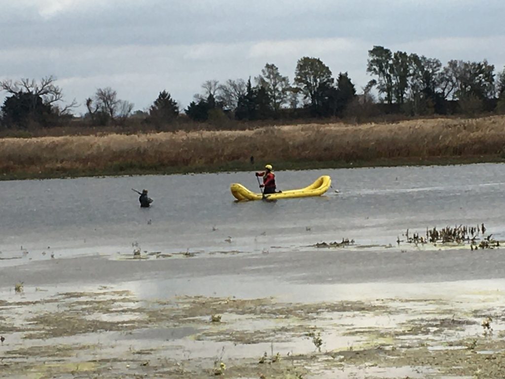 Water Rescue near Stanton