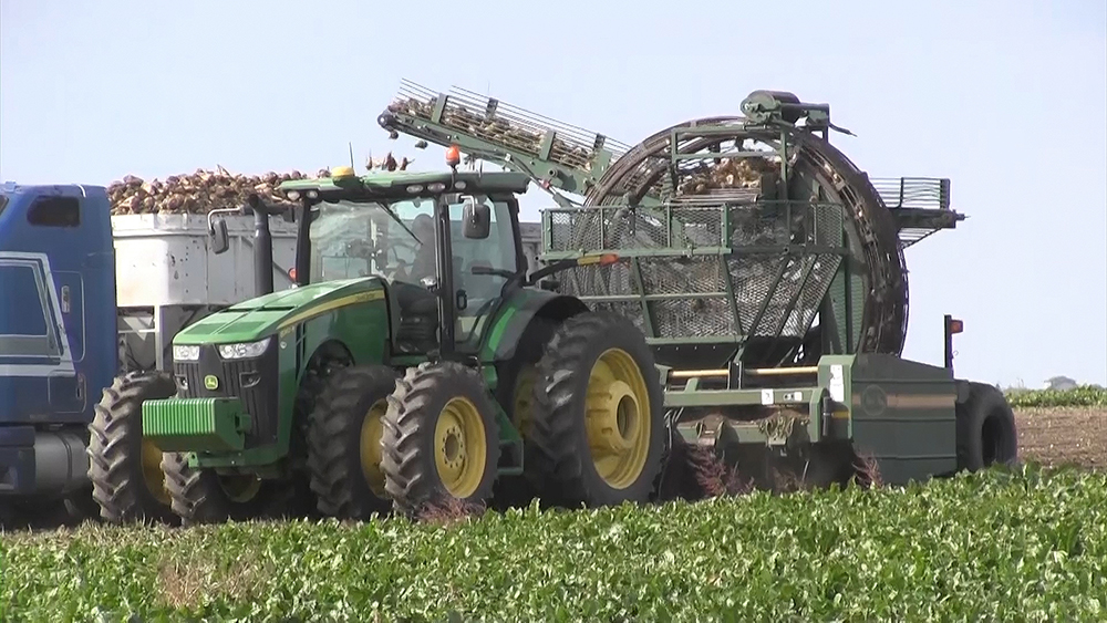 A bountiful harvest in western Nebraska