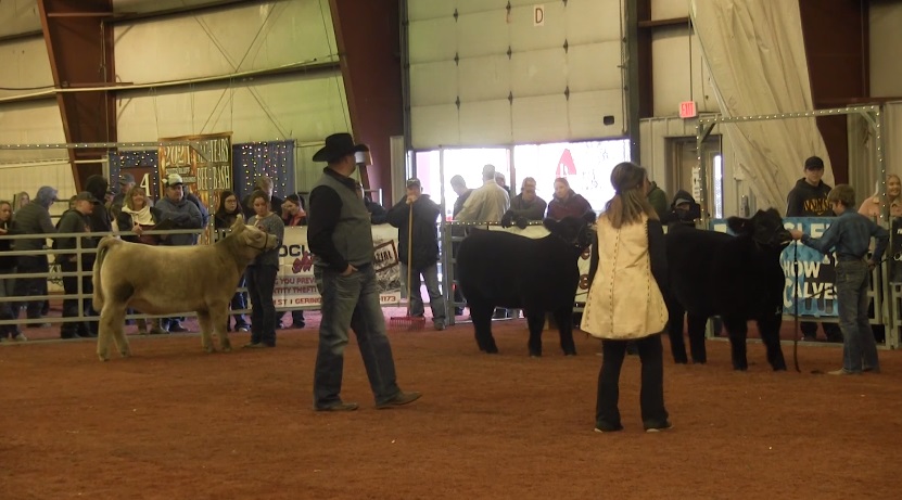 **WATCH*** Inaugural Beef Bash Prospect Show Held in Mitchell