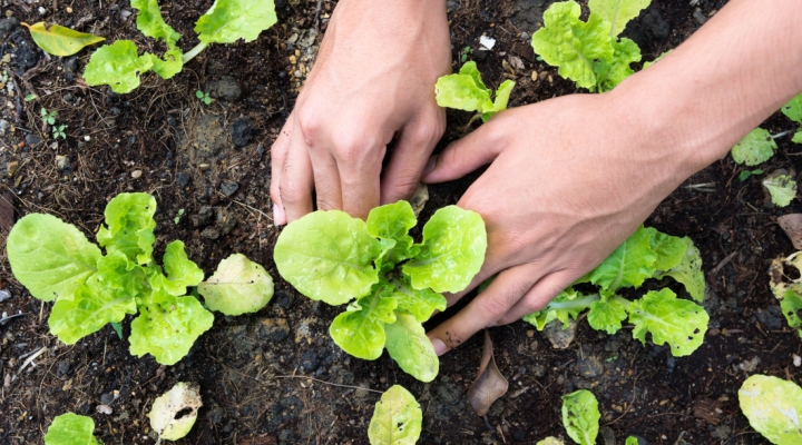 Learn How Bioreactors Are Being Used to Improve Water Quality